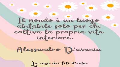 16 discorsiva