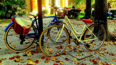 21 bici autunno