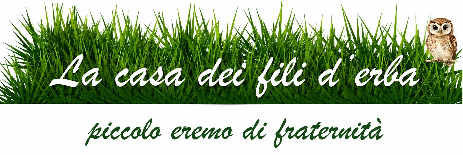 Logo tagliato
