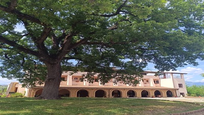 ruviano 1